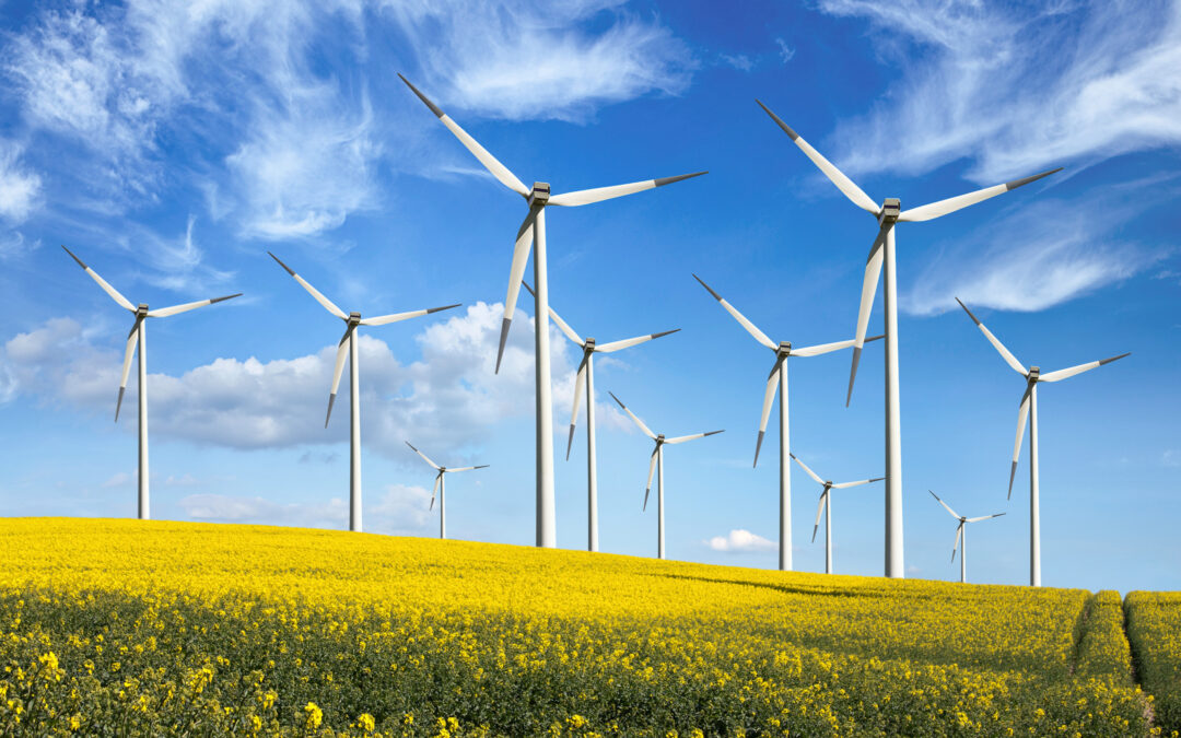 We assisted in a transaction of acquisition of a wind farm project by KGAL